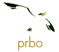 PRBO